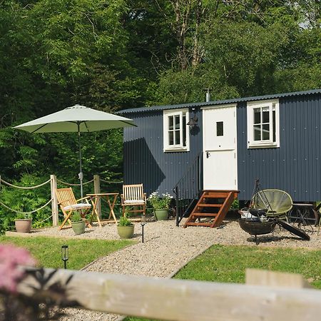 Llanarth Bedwen别墅 外观 照片